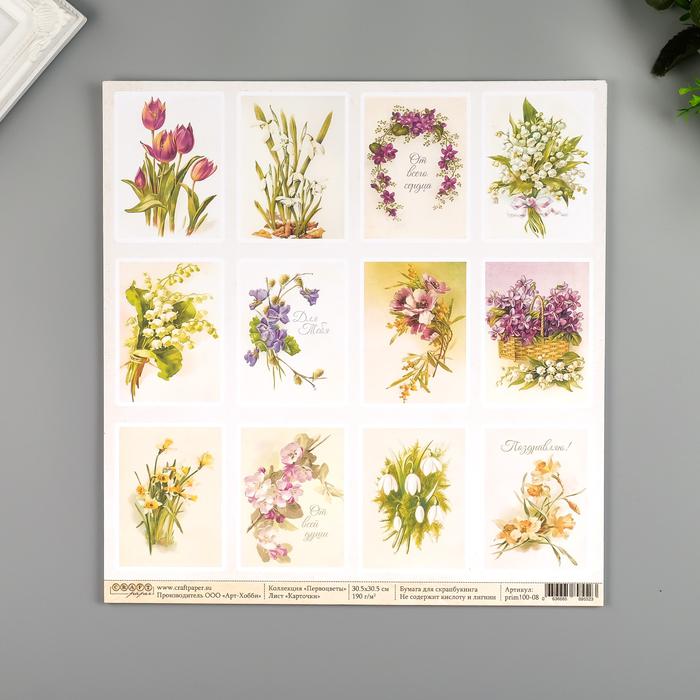 Набор бумаги для скрапбукинга CraftPaper 