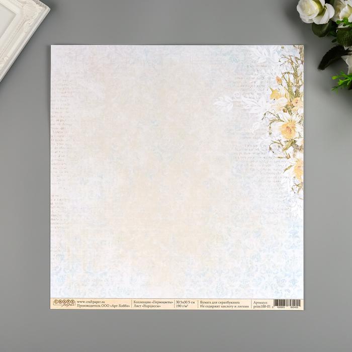 Набор бумаги для скрапбукинга CraftPaper 