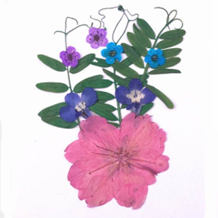 Набор сухоцветов "Розовые,синие,сиреневые и голубые цветы и веточки"     (2)