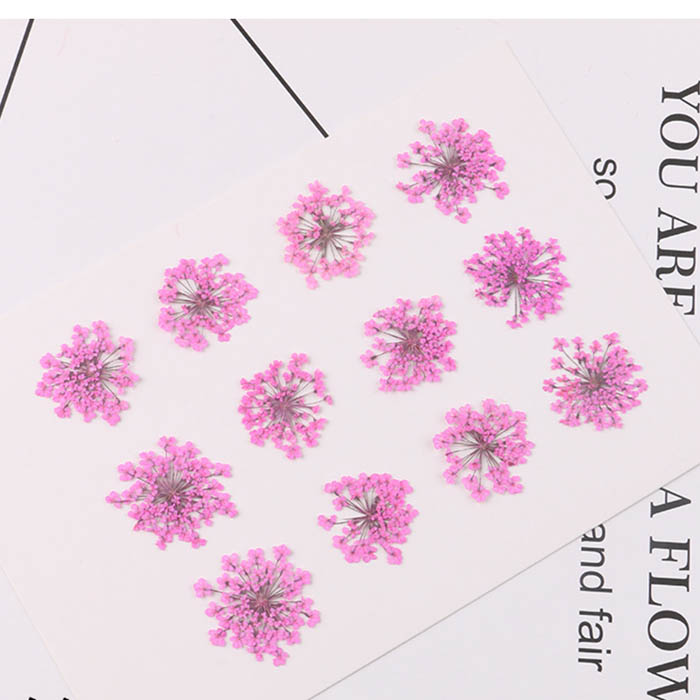 Сухоцвет "Розовые цветы", 20-25 мм   (2)