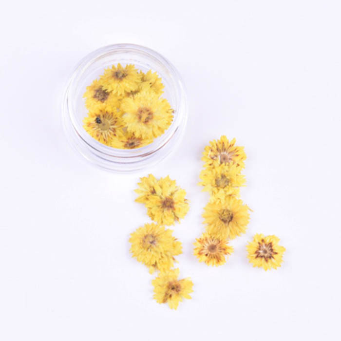 Сухоцвет "Желтые мелкие цветочки", 10 мм   (2)