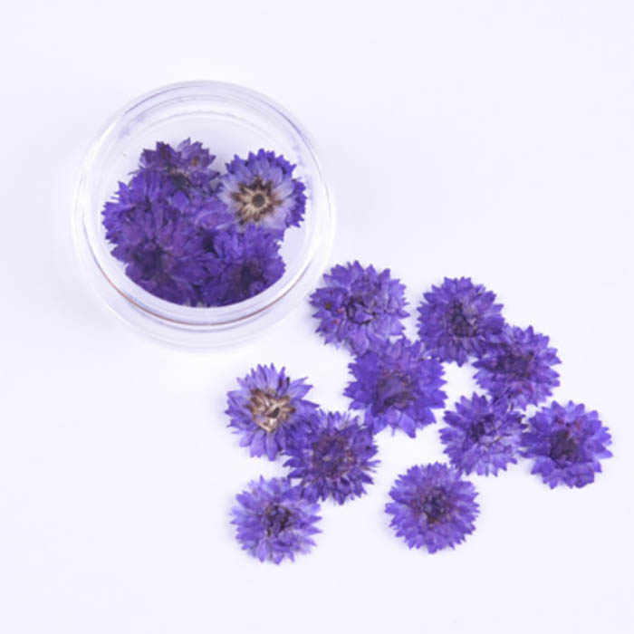 Сухоцвет "Фиолетовые мелкие цветочки", 10 мм    (2)