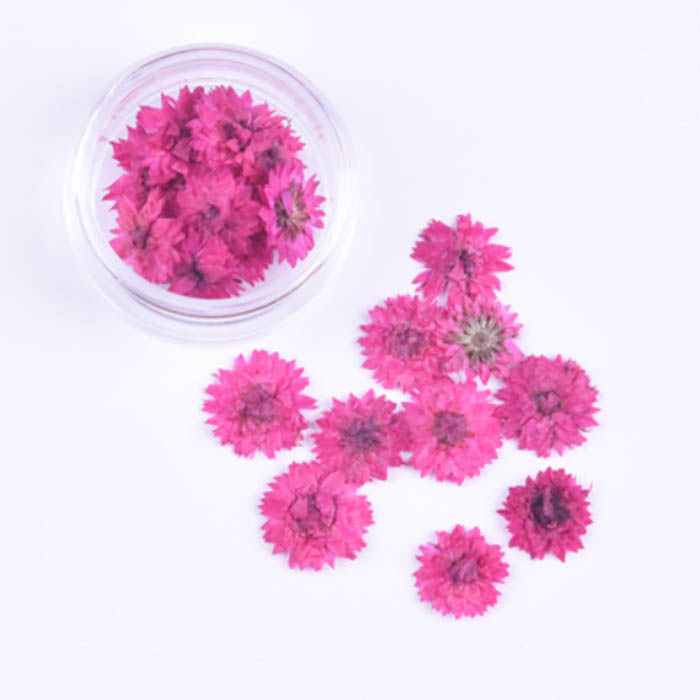 Сухоцвет "Ярко розовые мелкие цветочки", 10 мм   (2)