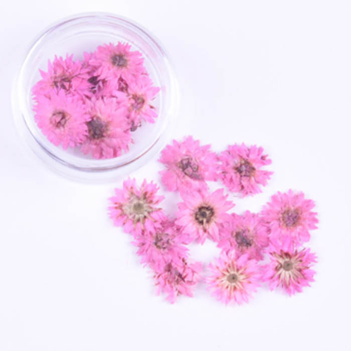 Сухоцвет "Розовые мелкие цветочки", 10 мм      (2)