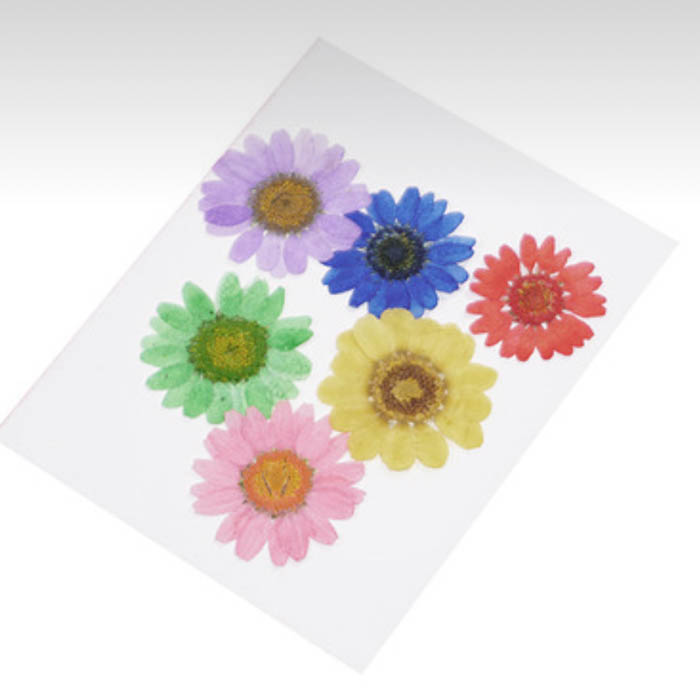 Сухоцвет "Разноцветные цветы", 25-30 мм    (2)